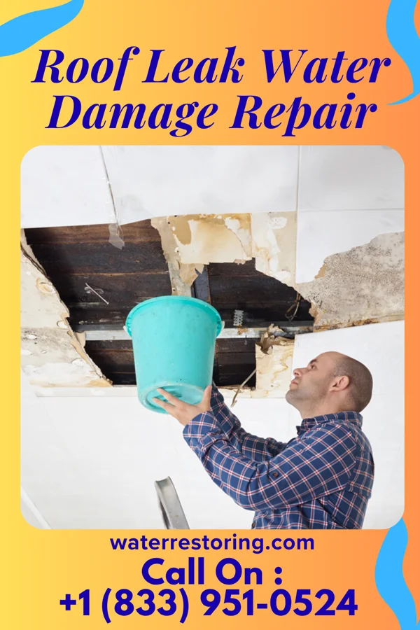 Roof Leak Water Damage Repair in Sharon, SC