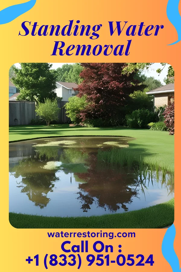 Standing Water Removal in Sharon, SC
